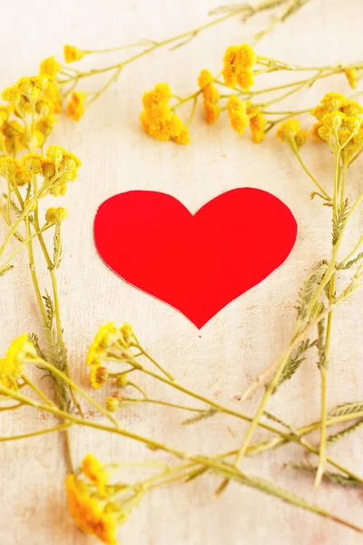 Red heart in the frame of wild flowers — Stock Photo, Image