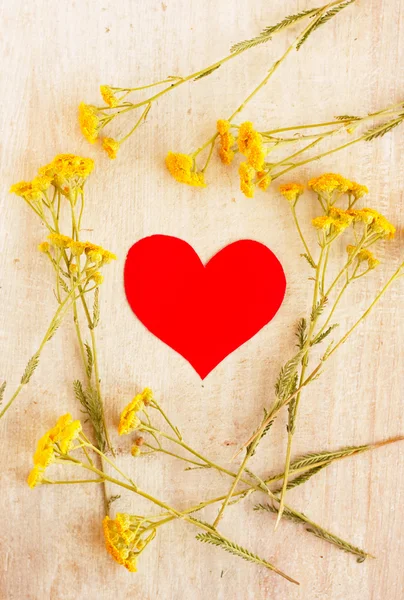 Coração no quadro de flores silvestres — Fotografia de Stock