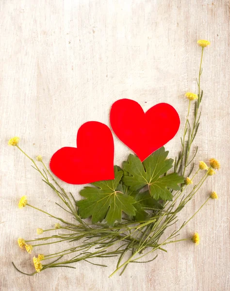 Two hearts in the nest with plants and leafs — Stock Photo, Image