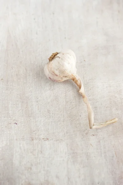 Unpeeled head of garlic — Stock Photo, Image