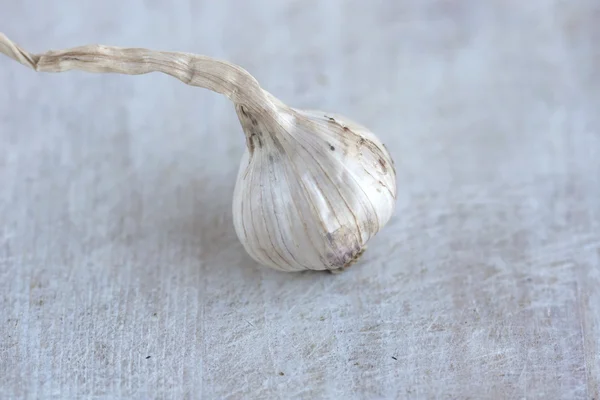 Ett huvud av vitlök makro — Stockfoto