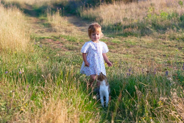 Little girl in the light dress with cat — Stock Photo, Image