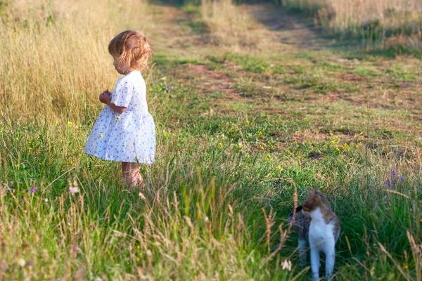 Menina pequena no vestido leve e gato — Fotografia de Stock