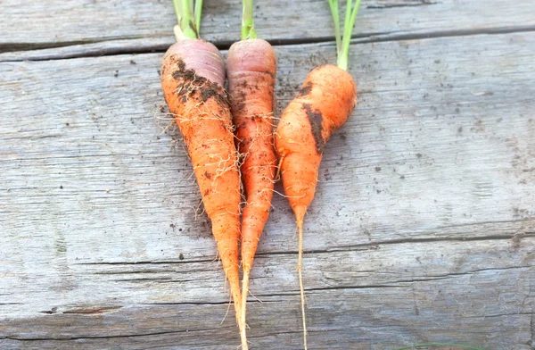 Three orange carrot — Stock Photo, Image