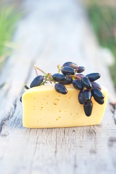 Queijo e cacho de uvas — Fotografia de Stock