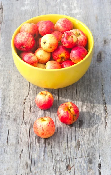 多くの小さな赤いリンゴ — Stock fotografie