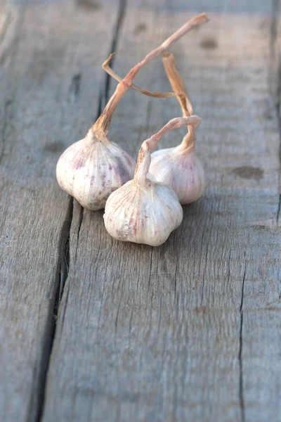 新鲜冰冻食品的大蒜 — 图库照片