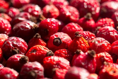 Kuru kalçazaad en blad suikerbieten