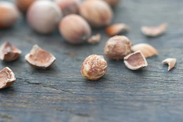 Grano de avellana y cáscara de nuez — Foto de Stock