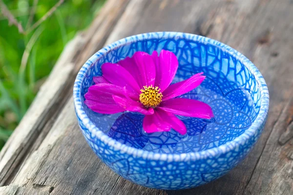 Flor flutuante com pétala violeta — Fotografia de Stock