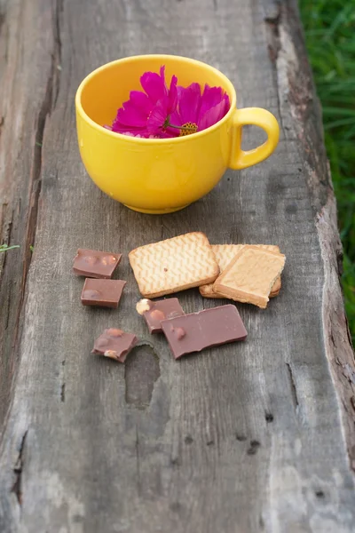 Flores na caneca, chocolate e pastelaria — Fotografia de Stock