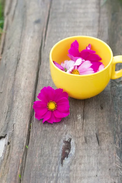 Cortar flores lilás na caneca amarela — Fotografia de Stock