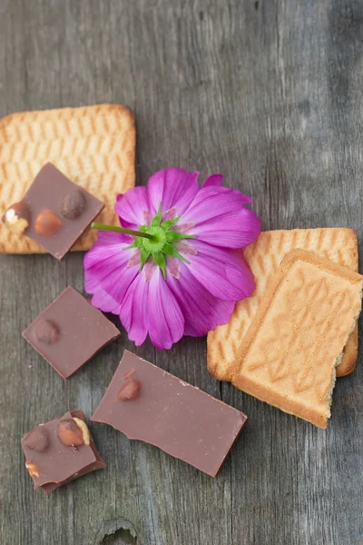 Cut flowers chocolate and pastry — Stock Photo, Image