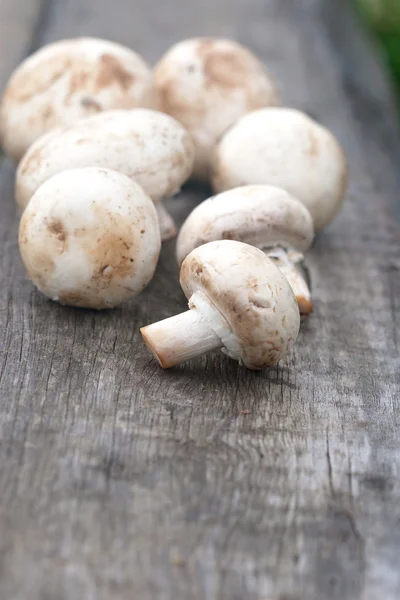 Champignons on the wood board — Stock Photo, Image