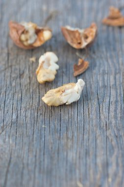 genç bir ceviz çekirdek