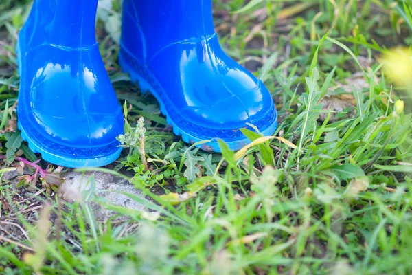 Botas de wellington azul escuro — Fotografia de Stock