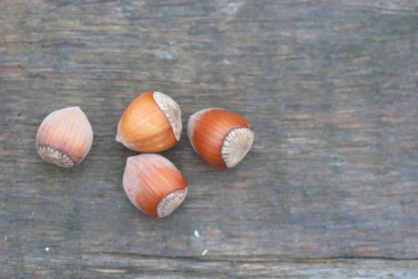 Several hazelnut — Stock Photo, Image