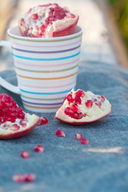 nar ve çizgili olabilir açık havada