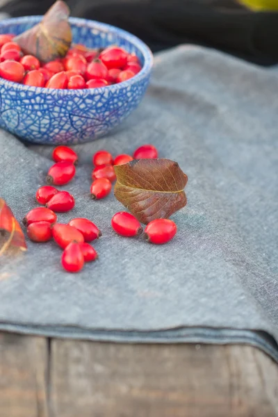 屋外での紅葉はまだ生活 — ストック写真