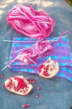 knitting and sweet pomegranate on the material clipart