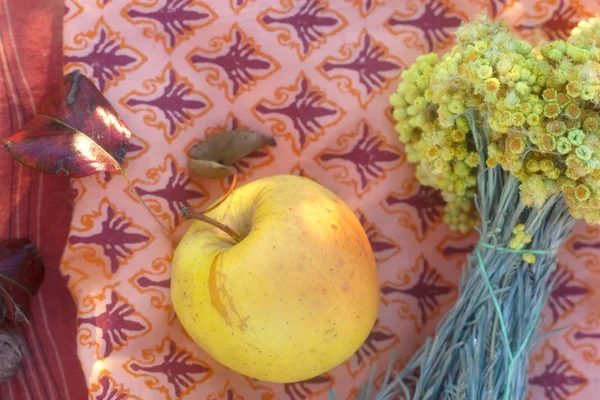 Pomme jaune et herbes médicinales — Photo