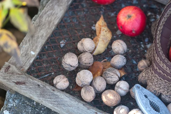 Walnuts, nutcracker and leafs — Stock Photo, Image