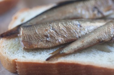 balıklı sandviç aç