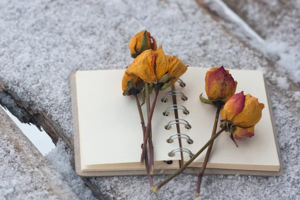 Várias rosas amarelas secas no caderno — Fotografia de Stock