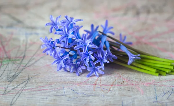 Bouquet of blue spring flowers - Stock Image - Everypixel