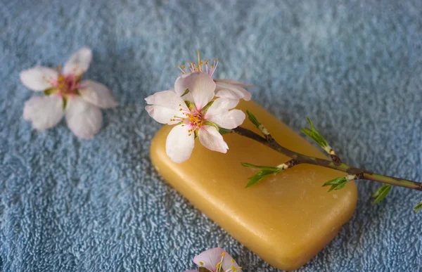 Blossoming branch on natural soap on a towel — Stock Photo, Image