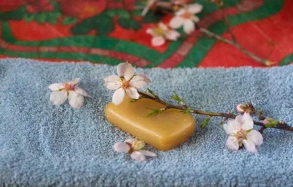 Blossoming branch on natural soap — Stock Photo, Image