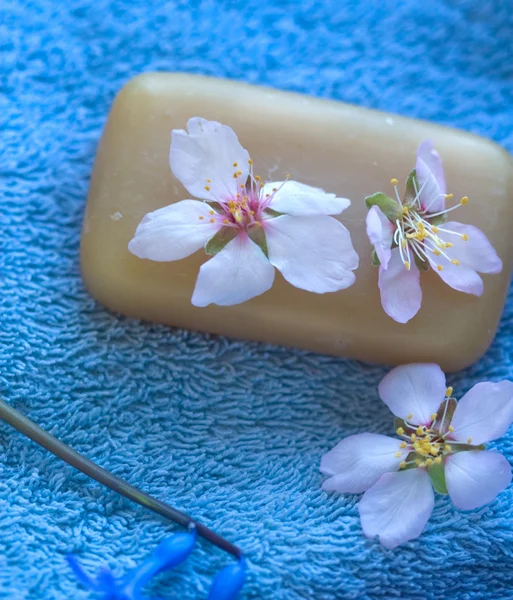 Large flowers of apricot on natural soap — Stock Photo, Image