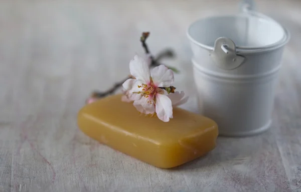Tvål, våren blommande gren och lilla hink — Stockfoto