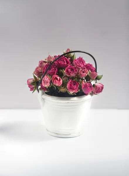 Buquê de rosas rosa em um pequeno balde branco decorativo — Fotografia de Stock