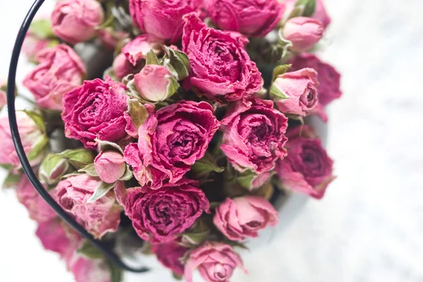 Hintergrund der schönen rosa kleinen Rosen — Stockfoto
