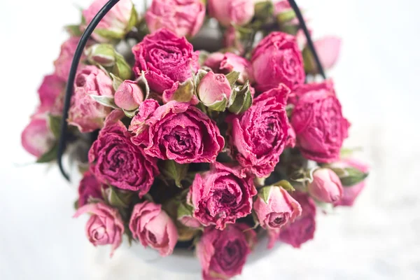 Piękne różowe róże małe widok z góry — Zdjęcie stockowe