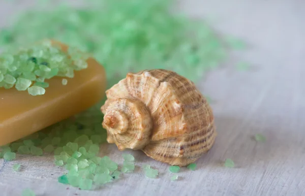 Saltbad, tvål och seashell — Stockfoto