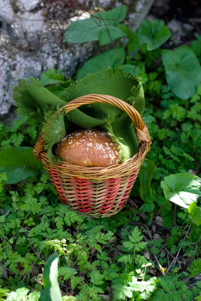 Fabulous basket with bread roll in the forest — Stock Photo, Image