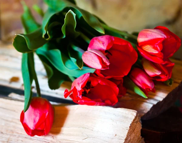 Bouquet di tulipani rossi — Foto Stock