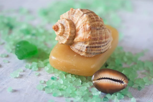 Bio-Seife und schöne Muscheln — Stockfoto