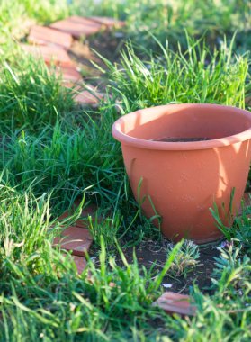 saksıyı yeşil yatak 