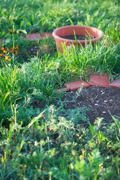 Letto ricoperto di erba verde — Foto Stock