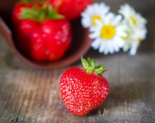 Primeros planos de naturaleza muerta de verano Imágenes De Stock Sin Royalties Gratis