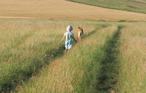 Bambino e cane passeggiano tra i campi e i prati — Foto Stock