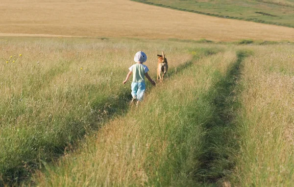 Kind und Hund spazieren zwischen Feldern und Wiesen lizenzfreie Stockfotos