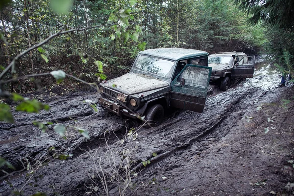 Pull me out — Stock Photo, Image