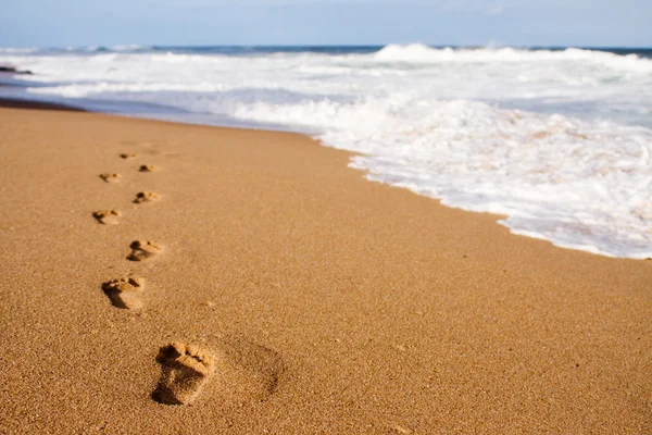 Footprints leading into the sea