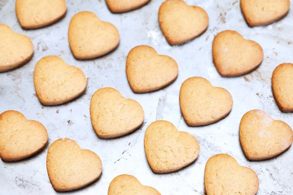 Home made shortbread heart shaped cookies on baking tray — Stock Photo, Image