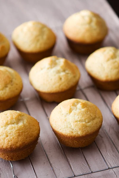 Nybakade vanilj muffins på metall rutnät — Stockfoto