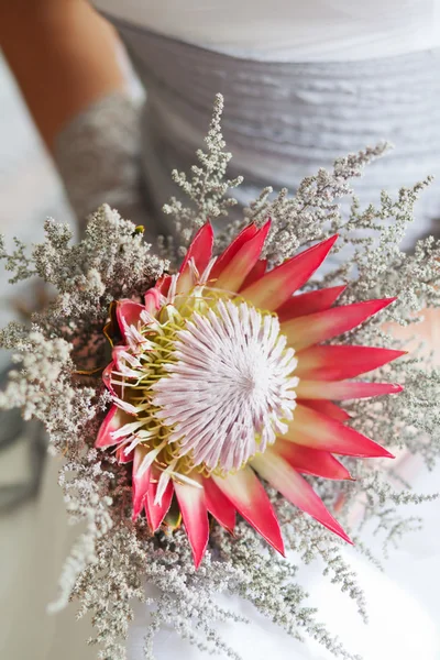 Mariée tenant son beau bouquet de fleurs protéa Images De Stock Libres De Droits